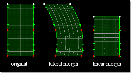 update_edges_tangency_lateral_linear_example