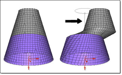 morph_constraints_along_dofs